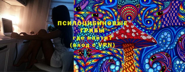 МДПВ Бронницы