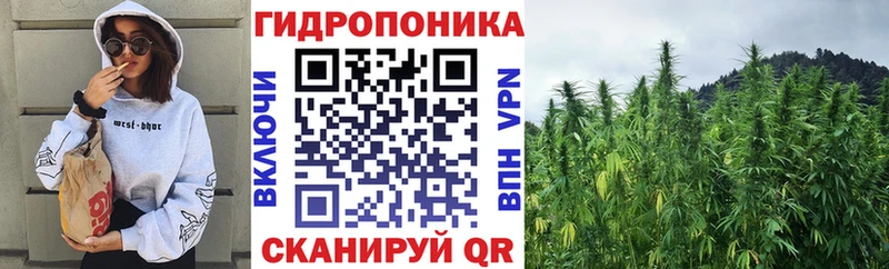 дарнет шоп  Ижевск  сайты даркнета формула  Канабис AK-47 